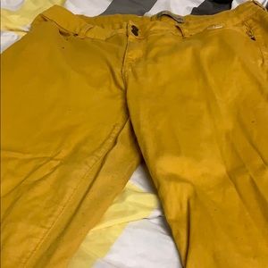 Yellow plus size pants